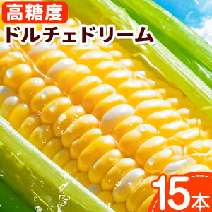 �y�ӂ邳�Ɣ[�Łz�y2026�N��s�\��z����_�� �����x �Ƃ����낱���u�h���`�F�h���[���v15�{ ����_�� �g�E�����R�V �Ƃ����낱�� ���낱�� �k�C�� ���ʒ� �_�ƒ��� �Y�n���� �����x �Â� �X