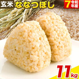 【ふるさと納税】【令和7年産先行予約】《10月末～（収穫出来次第、出荷）》玄米ななつぼし11kg 四季農場 北海道 当別町 米 お米 おこめ ライス ご飯 ごはん ななつぼし 玄米 農業 スマート農業 北海道産 単一原料米 自然環境共存型 ビオトープ利用型 雪解け水 送料無料