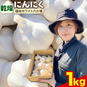 yӂ邳Ɣ[Łziߘa8NstjɂɂinzCgZЎj1kgɂɂ nzCg 1000g@kCY Y XpCX K[bN   Aq[W ֗ ig \  