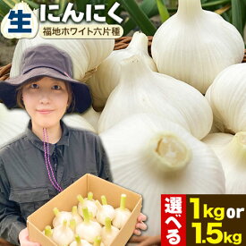 【ふるさと納税】（令和8年先行受付）生にんにく（福地ホワイト六片種）1kg or 1.5kgにんにく 福地ホワイト 1000g 1500g　北海道産 国産 スパイス ガーリック お肉 肉 アヒージョ 便利 普段使い 万能 調味料 焼肉 BBQ