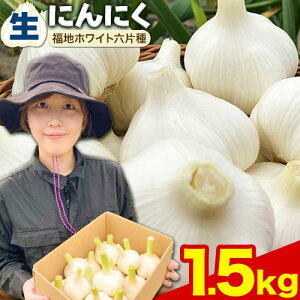 yӂ邳Ɣ[Łziߘa8NstjɂɂinzCgZЎj1kg or 1.5kgɂɂ nzCg 1000g 1500g@kCY Y XpCX K[bN   Aq[W ֗ ig 