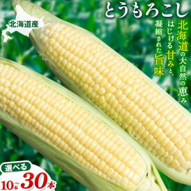 【ふるさと納税】【2026年先行予約】照之家商店鮮度抜群とうもろこし 10本 30本 選べる