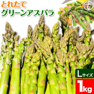 yӂ邳Ɣ[Łzy2026NstzƂꂽăO[AXpLTCY1kg C`Jgq_ kC ʒ  AXpKX AXp O[AXp LTCY kCY Gߌ { 