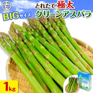 yӂ邳Ɣ[Łzy2026NstzƂꂽċɑO[AXp1kg C`Jgq_ kC ʒ  ₳ AXpKX AXp O[AXp ɑ kCY L@엿 