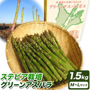 �y�ӂ邳�Ɣ[�Łz�y2026�N��s�\��z�X�e�r�A�͔|�O���[���A�X�p�� 1.5kg �����K���s2026�N5�����{-6�����{���o�ׁt�k�C�� ���ʒ� ��� �₳�� �A�X�p���K�X �A�X�p�� �O���[���A�X�p�� �ɑ� 