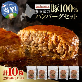 【ふるさと納税】養豚家の豚100％ハンバーグセット 120g2枚入りパック×5セット計10枚 豚肉 肉 厳選 国産 お取り寄せ グルメ おかず おすすめ スマイル ポーク 加工品 惣菜 簡単 冷凍 キャンプ BBQ 浅野農場