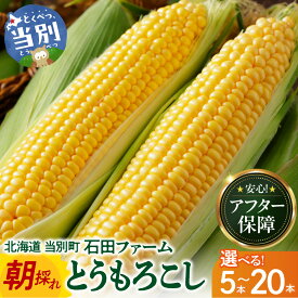 【ふるさと納税】【先行予約】石田ファーム とうもろこし詰め合わせ 5本 10本 20本 セット 訳あり 【2026年8月上旬〜9月中旬出荷予定】【数量限定】朝採り 夢のコーン 甘獲娘 スターダスト 恵味ゴールド 恵味スター ほしつぶコーン わくわくコーン ロイシーコーン 北海道