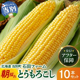 【ふるさと納税】＼今が発送時期／石田ファーム とうもろこし詰め合わせ 5本 10本 20本 セット 訳あり 【2026年8月上旬〜9月中旬出荷予定】【数量限定】朝採り 夢のコーン 甘獲娘 スターダスト 恵味ゴールド 恵味スター ほしつぶコーン わくわくコーン ロイシーコーン 北海道