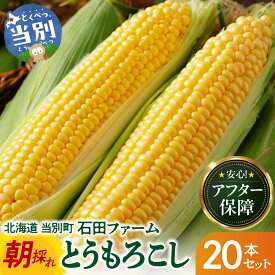 【ふるさと納税】＼今が発送時期／石田ファーム とうもろこし詰め合わせ 5本 10本 20本 セット 訳あり 【2026年8月上旬〜9月中旬出荷予定】【数量限定】朝採り 夢のコーン 甘獲娘 スターダスト 恵味ゴールド 恵味スター ほしつぶコーン わくわくコーン ロイシーコーン 北海道