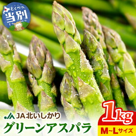 【ふるさと納税】 JA北いしかり グリーンアスパラ （M～Lサイズ） 1kg アスパラガス 甘くてシャキシャキ とれたて 旬 新鮮 北海道産 アスパラ 野菜 サラダ 天ぷら 肉巻き バーベキュー 送料無料 北石狩農業協同組合 《5月上旬-6月下旬頃出荷》 北海道 当別町
