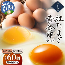【ふるさと納税】 紅たまご 黄金卵 各30個セット 計60個 絆養鶏場 純国産平飼い鶏卵専門店 卵 赤玉 桜玉 たまご タマゴ 玉子 卵黄 食べ比べ セット ごはん お弁当 新鮮 ギフト 割れ保障 北海道 当別町