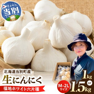（令和8年先行受付）生にんにく（福地ホワイト六片種）1kg...