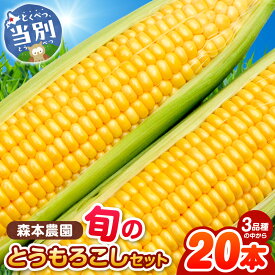 【ふるさと納税】【2026年先行予約】森本農園 とうもろこし 20本セット ほしつぶコーン わくわくコーン スターダスト から旬の品種をお届け 朝どれ 朝採れ トウモロコシ コーン 野菜 旬の品種 旬 たっぷり BBQ 当別産 北海道産 森本農園 北海道 当別町