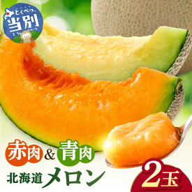 【ふるさと納税】【先行予約】メロン（赤肉・青肉）計2玉《2026年7月上旬-8月下旬頃出荷》 北海道 赤肉 青肉 食べ比べ 人気 野口農園 フルーツ 果物 ギフト めろん デザート 赤肉メロン 青肉メロン 産地直送 北海道産 国産