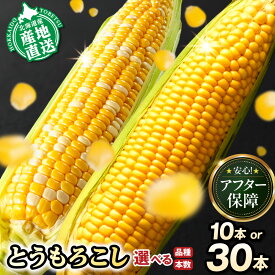 【ふるさと納税】【2026年先行予約】照之家商店 鮮度抜群 とうもろこし 産地直送 北海道産 アフター保障 【選べる品種・本数】 バイカラーコーン ドルチェドリーム イエローコーン 味来 10本 30本 《2026年8月上旬-9月中旬頃出荷》 北海道 当別町
