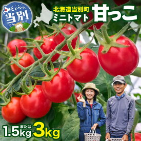 【ふるさと納税】 北海道当別町産 化学農薬不使用 ミニトマト 甘っこ 【選べる容量】 1.5kg 3kg VEGGIEHILLS とまと 北海道産 野菜 サラダ 新鮮 北海道 当別町