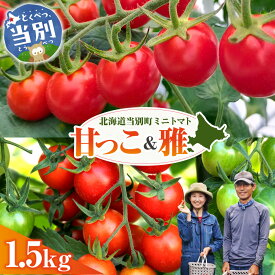 【ふるさと納税】トマト 北海道 当別町産 化学農薬不使用 ミニトマト 甘っ子 雅 1.5kg 3kg とまと VEGGIEHILLS《7月下旬-8月上旬頃出荷》 北海道 当別町 野菜 新鮮 べジヒルズ オリジナル ブランド 食べ比べ