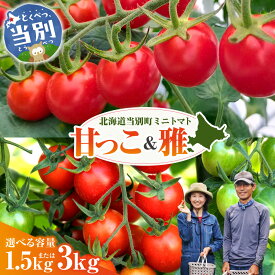 【ふるさと納税】トマト 北海道 当別町産 化学農薬不使用 ミニトマト 甘っ子 雅 1.5kg 3kg とまと VEGGIEHILLS《7月下旬-8月上旬頃出荷》 北海道 当別町 野菜 新鮮 べジヒルズ オリジナル ブランド 食べ比べ