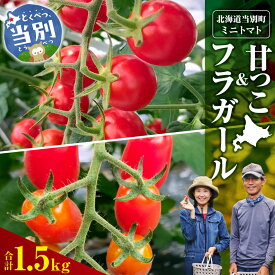 【ふるさと納税】 トマト 北海道 当別町産 化学農薬不使用 ミニトマト 甘っこ フラガール 【選べる容量】 1.5kg 3kg VEGGIEHILLS べジヒルズ とまと 野菜 新鮮 北海道産 オリジナル ブランド 北海道 当別町