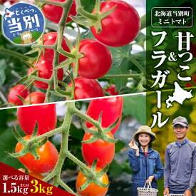 【ふるさと納税】 トマト 北海道 当別町産 化学農薬不使用 ミニトマト 甘っこ フラガール 【選べる容量】 1.5kg 3kg VEGGIEHILLS べジヒルズ とまと 野菜 新鮮 北海道産 オリジナル ブランド 北海道 当別町