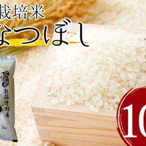 ふるさと納税 米 10kgの人気商品 通販 価格比較 価格 Com ふるさと納税 米 10kgの人気商品 通販 価格比較 価格 Com