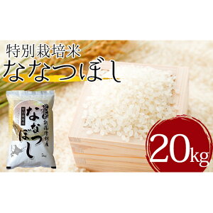 米 kg ふるさと納税の人気商品 通販 価格比較 価格 Com 米 kg ふるさと納税の人気商品 通販 価格比較 価格 Com