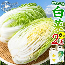 【ふるさと納税】新しのつ産 白菜 2玉 約6kg はくさい ハクサイ 旬 国産 新鮮 北海道産 甘い シャキシャキ 漬物 冬料理 鍋 キムチ サラダ 産地直送 お取り寄せ 北海道 新篠津村 　お届け：2026年9月下旬から2026年10月中旬