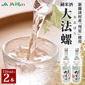 【ふるさと納税】新篠津村産 「彗星」使用 純米酒 大法螺（おおぼら） 720ml 2本 淡麗 辛口 日本酒 酒 お酒 彗星 特産品 冷 常温 ぬる燗 アルコール プレゼント 贈り物 北海道 新篠津村