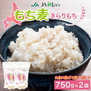 yӂ邳Ɣ[ŁzV̂Y   750g×2 G      kCY ނ  Y wV[  H@ ٓ ɂ H ֗ `` v`v` 