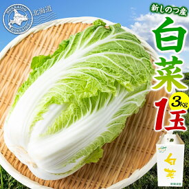 【ふるさと納税】新しのつ産 白菜 1玉 約3kg はくさい ハクサイ 旬 国産 新鮮 北海道産 甘い シャキシャキ 漬物 冬料理 鍋 キムチ サラダ 産地直送 お取り寄せ 北海道 新篠津村　お届け：2026年9月下旬から2026年10月中旬