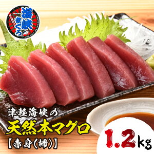 yӂ邳Ɣ[Łzy2025N8{ȍ~zg{}OuC܂vԐg(1.2kg) {܂ {}O { C܂ C}O C CN VR Ԑg hg ʌ  