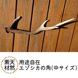 【ふるさと納税】福島町産　エゾシカの角（中サイズ） エゾシカ えぞ鹿 蝦夷しか 蝦夷鹿 角 中 鹿角 用途自在 天然 素材 オブジェ アクセサリー 贈答 贈り物 ギフト プレゼント 北海道 福島町 送料無料 FKB007