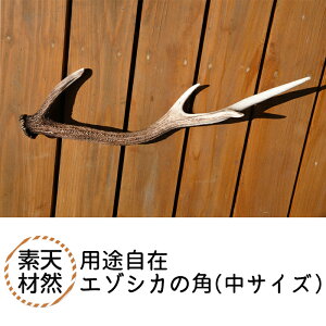 yӂ邳Ɣ[ŁzY@G]VJ̊piTCYj G]VJ  ڈ΂ ڈΎ p  p pr VR f IuWF ANZT[  蕨 Mtg v[g kC 