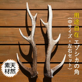 【ふるさと納税】エゾシカの角（中サイズ、左右セット） エゾシカ えぞ鹿 蝦夷しか 蝦夷鹿 角 中 鹿角 用途自在 左右 天然 オブジェ アクセサリー 贈答 贈り物 ギフト プレゼント 北海道 福島町 送料無料 FKB009