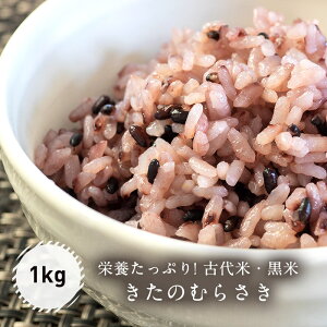 yӂ邳Ɣ[ŁzÑāEāûނ炳v1kg  R  ܂ 낲  ̂ނ炳 Ñ   s\ N  蕨 Mtg v[g kC  