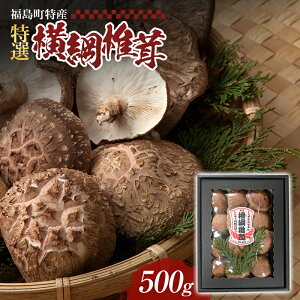 yӂ邳Ɣ[ŁzYEIujőv500g y ̂ LmR  VC^P ő Y I ؍͔| j Hi H   蕨 Mtg v[g kC  