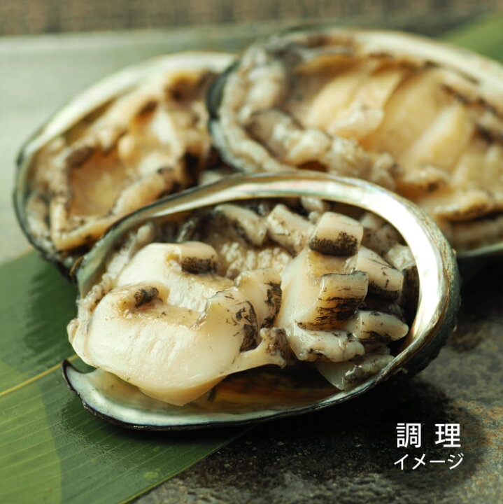 最大94 Offクーポン ふるさと納税 北海道産 新鮮蝦夷あわびのやわらか煮 肝付 計6個 大事に育てた陸上養殖えぞあわびを浜のかあさんたちが調理しました 旨味と滋味を凝縮 砂混じりなしで丸ごと食べられる 小ぶりサイズ 食べきり2個入りパック 煮アワビ 鮑 煮貝 Ie 最大94 Offクーポン ふるさと納税 北海道産 新鮮蝦夷あわびのやわらか煮 肝付 計6個 大事に育てた陸上養殖えぞあわびを浜のかあさんたちが調理しました 旨味と滋味を凝縮 砂混じりなしで丸ごと食べられる 小ぶりサイズ 食べきり2個入りパック 煮アワビ 鮑 煮貝 Ie