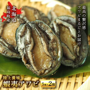 yӂ邳Ɣ[ŁzkC @ {Bu ڈ Arv5×2 kC   G]Ar  CN FKP002