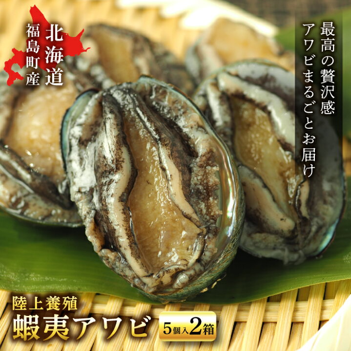 楽天市場 ふるさと納税 北海道 福島町 陸上 養殖 蝦夷 アワビ 5個入 2箱 北海道 あわび 鮑 エゾアワビ えぞあわび 海鮮 北海道福島町
