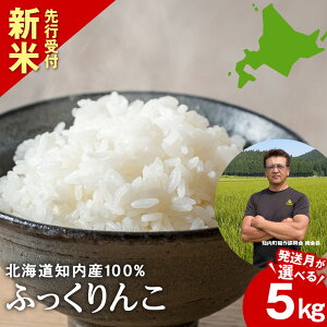 yӂ邳Ɣ[Łzߘa7NVė\ ӂ5kg yJAV͂āzIׂ锭10`12m ӂ邳Ɣ[   kCY kC  kCY Y   u
