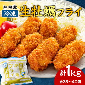 【ふるさと納税】知内産 生カキフライ 1kg（35〜40粒程度）【海峡育ち】＜上磯郡漁業協同組合＞ 牡蠣 かき 惣菜 揚げ物 おかず 簡単調理知内町 ふるさと納税 北海道産牡蠣 カキ 北海道 牡蠣 カキフライ ふるさと納税牡蠣 牡蠣