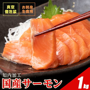 yӂ邳Ɣ[ŁzY gEg T[ 1kg XY ӂ邳Ɣ[  ⓀT[ ؂藎Ƃ CN lC  X kC mTP  T[ X[N gEgT[ m 