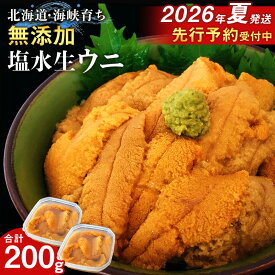 【ふるさと納税】【2026年6月中旬以降発送】 キタムラサキウニ 100g×2パック 上磯郡漁業協同組合むらさきうに 塩水ウニ 塩水パック 無添加 知内町 ふるさと納税 北海道ふるさと納税 ウニ 北海道産ウニ うに 雲丹