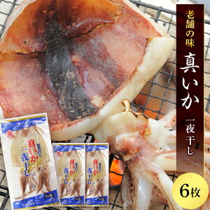 yӂ邳Ɣ[ŁzCJ 銱 V܂̖ ^̈銱 2×3pbN@HY  CJ ^ ^CJ 銱 kCY  kC m ӂ邳Ɣ[ ăMtg
