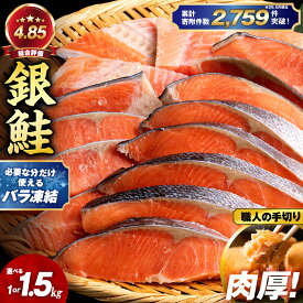 【ふるさと納税】訳あり 塩銀鮭 切り身 選べる1kg～1.5kg 職人手切り 北海道知内町加工 三洋食品 冷凍 鮭 お弁当 おかず知内町 ふるさと納税 魚介類 しゃけ シャケ 鮭 さけ サケ 切身 便利 食品 味付 海鮮 使い勝手抜群 カット済み 銀鮭 サーモン 家庭用