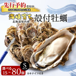 yӂ邳Ɣ[Łzy2026N3{ȍ~zC炿 kty STCY Iׂ15`80 JLiCtt y  JL L CN BBQ  MtgSƋgm ӂ邳