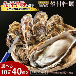 yӂ邳Ɣ[Łzy2026N3{ȍ~zC炿 kty Iׂ10`40 JLiCttSƋg y  JL L CN BBQ  Mtgm ӂ邳Ɣ[ 