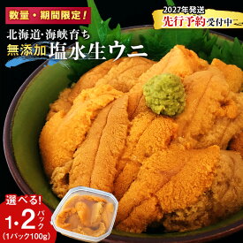 【ふるさと納税】キタムラサキウニ 選べる100g～200g 1パック100g 上磯郡漁業協同組合むらさきうに 塩水ウニ 塩水パック 無添加 知内町 ふるさと納税 北海道ふるさと納税 ウニ 北海道産ウニ うに 雲丹