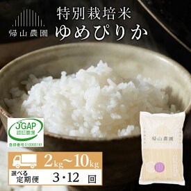 【ふるさと納税】【選べる定期便】 ゆめぴりか 選べる2kg～10kg 特別栽培米産地直送《帰山農園》知内町 ふるさと納税 米 こめ 北海道産お米 北海道米 美味しいお米 北海道産米 道産米 ふるさと納税 秋 旬【EE038】