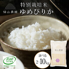 【ふるさと納税】【令和8年産 新米予約】 ゆめぴりか 選べる2kg〜10kg 特別栽培米産地直送《帰山農園》知内町 ふるさと納税 米 こめ 北海道産お米 北海道米 美味しいお米 北海道産米 道産米 ふるさと納税 秋 旬